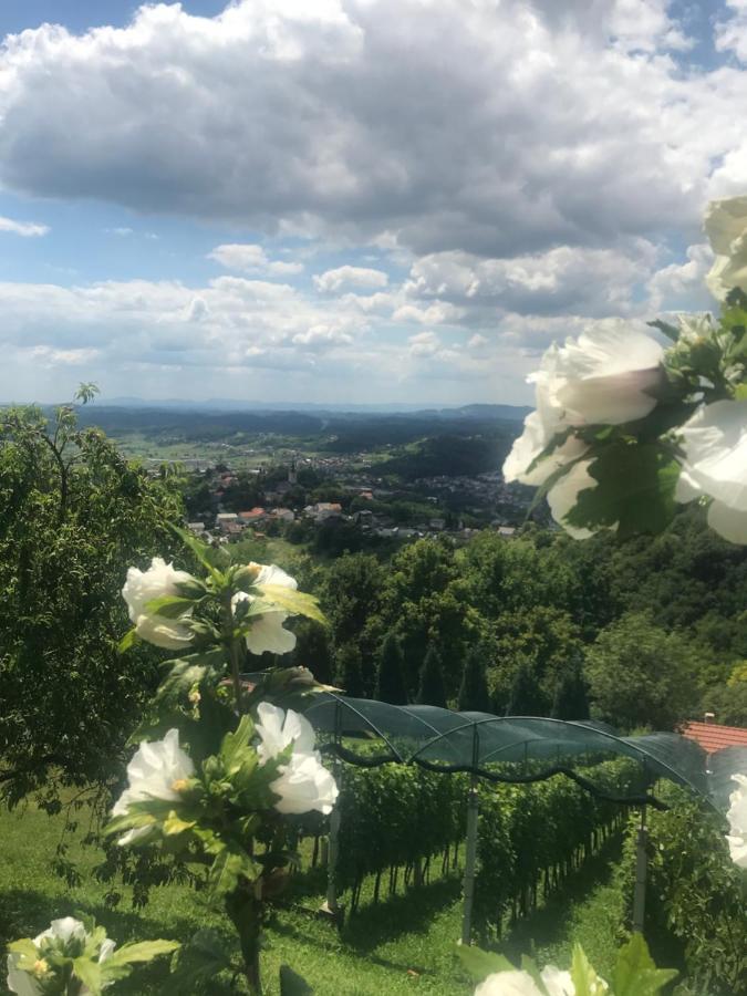 Kuca Za Odmor Magdalena&V Krapina Exterior foto