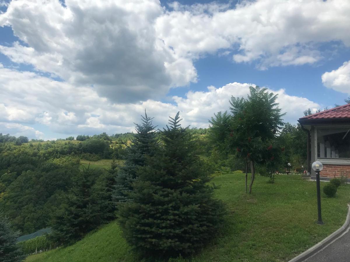 Kuca Za Odmor Magdalena&V Krapina Exterior foto